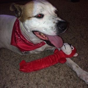 Meet your Posher, Joelene